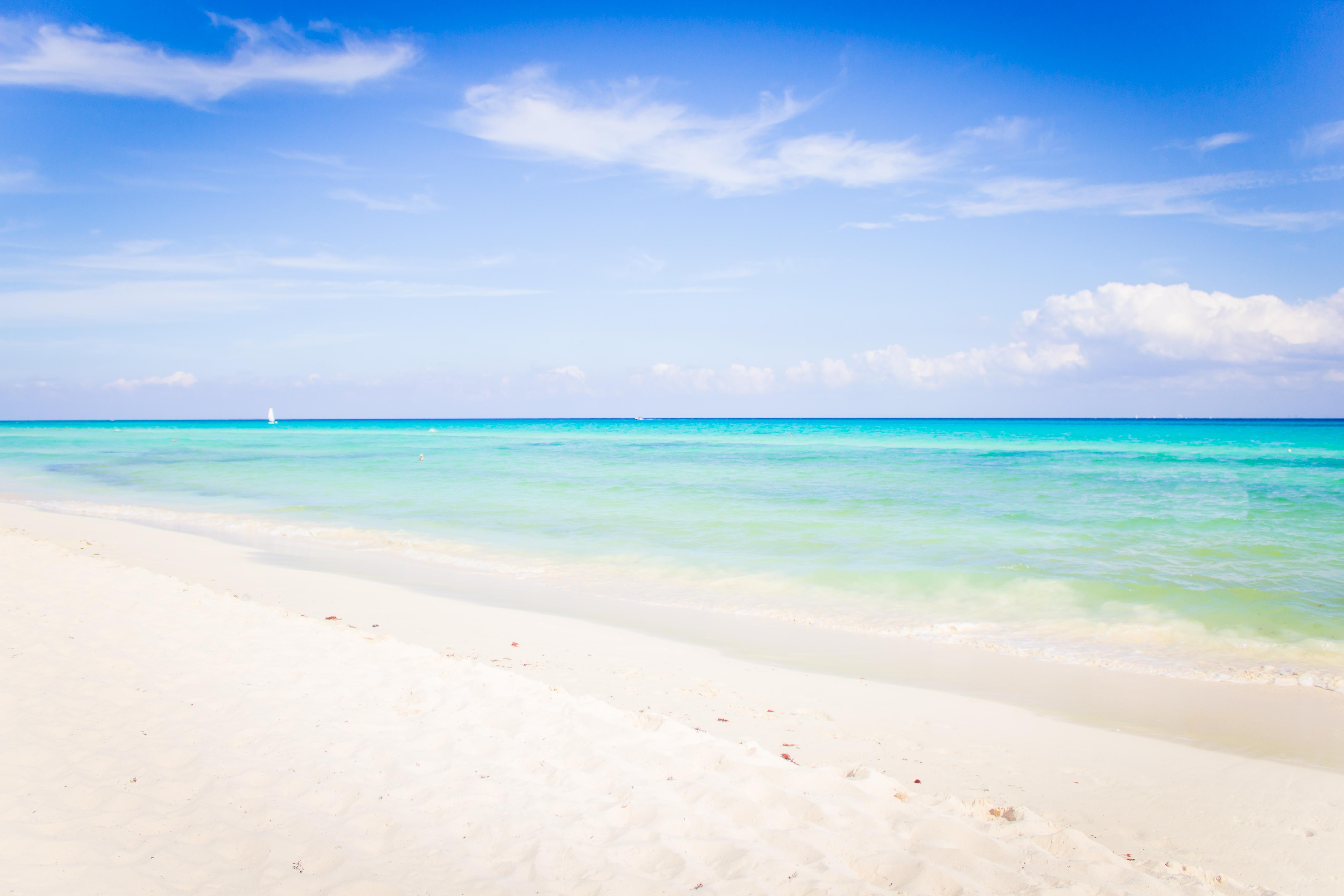 The Reef Playacar Beach Resort & Spa 신데 델 카르멘 외부 사진