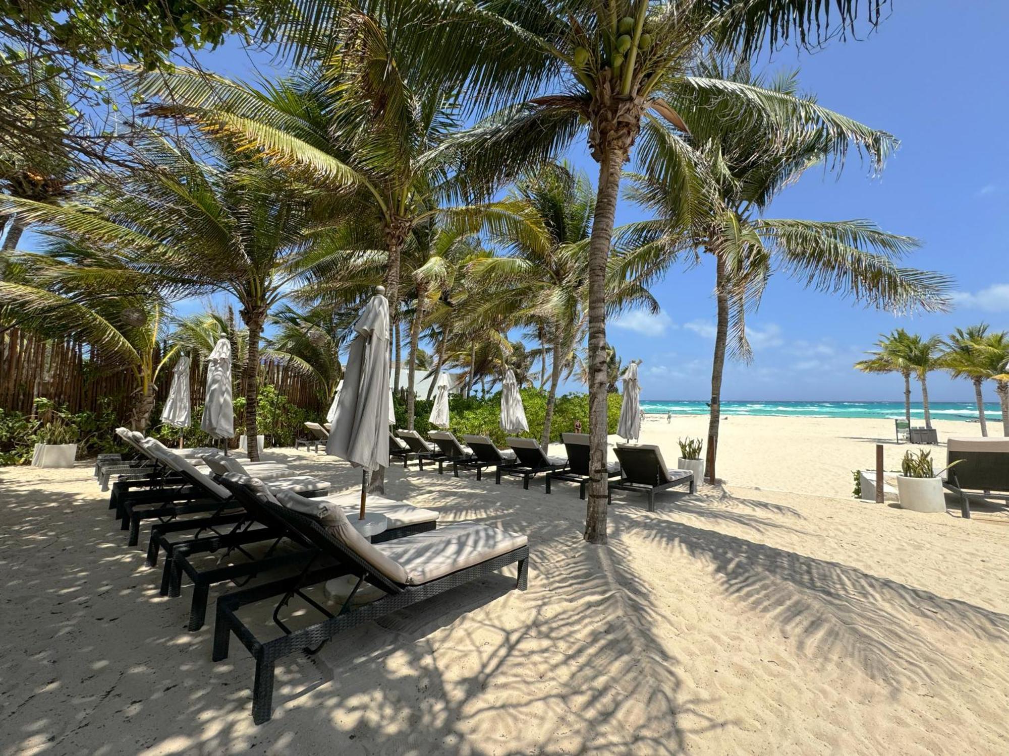 The Reef Playacar Beach Resort & Spa 신데 델 카르멘 외부 사진